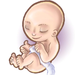 Baby Pregnancy FREE